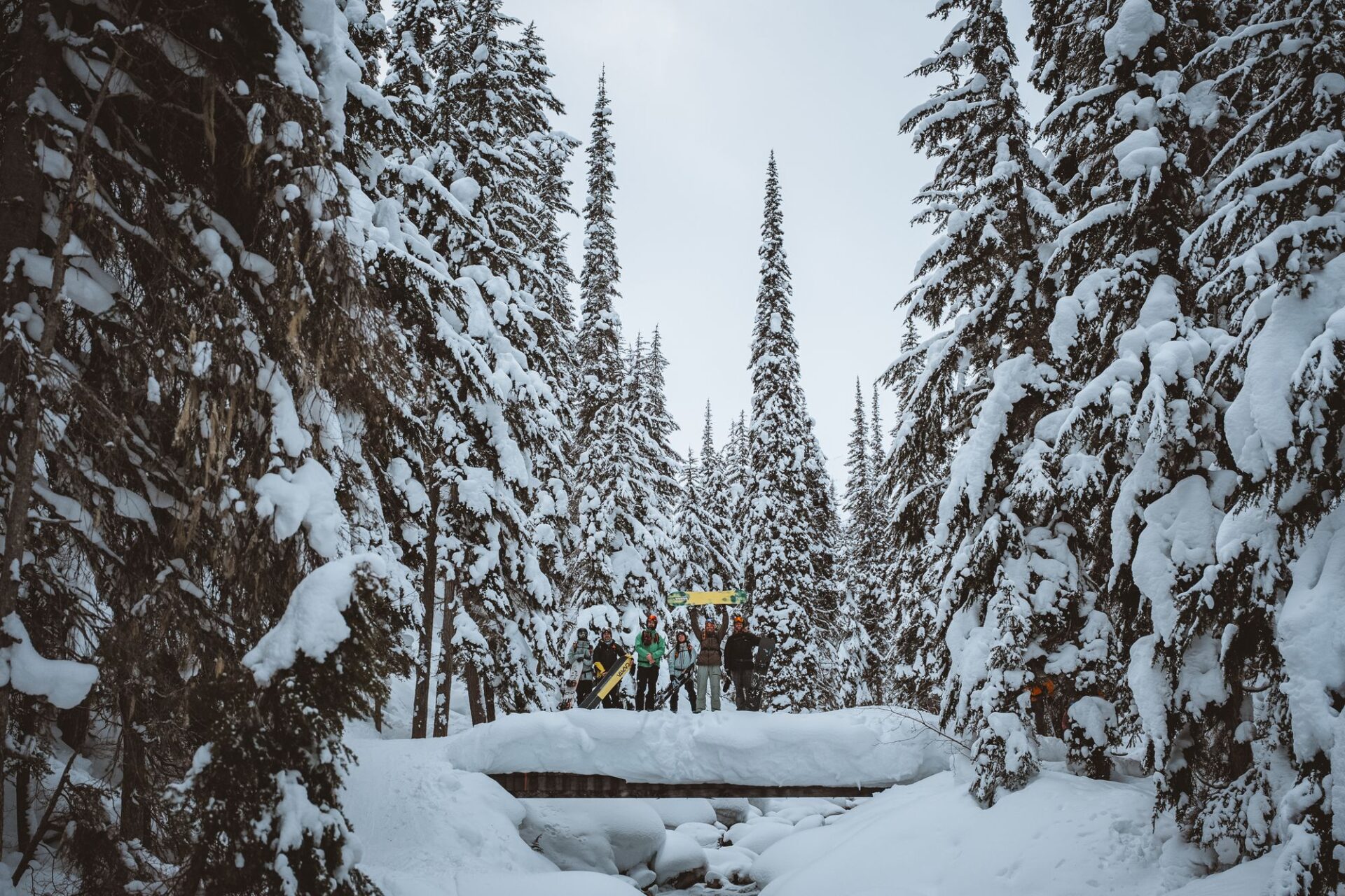 Il gruppo su un ponte nel bosco innevato